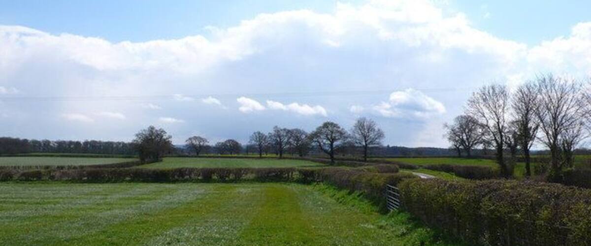 A rural landscape with a grassy path, hedgerows, and trees under a partly cloudy sky.