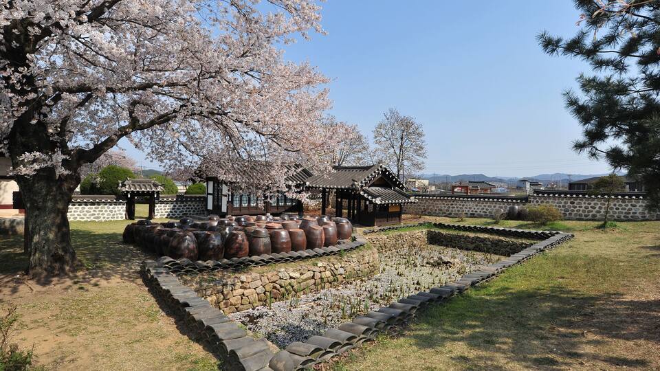 A traditional Korean garden with cherry blossoms, stone lanterns, and a tiled-roof pavilion.
