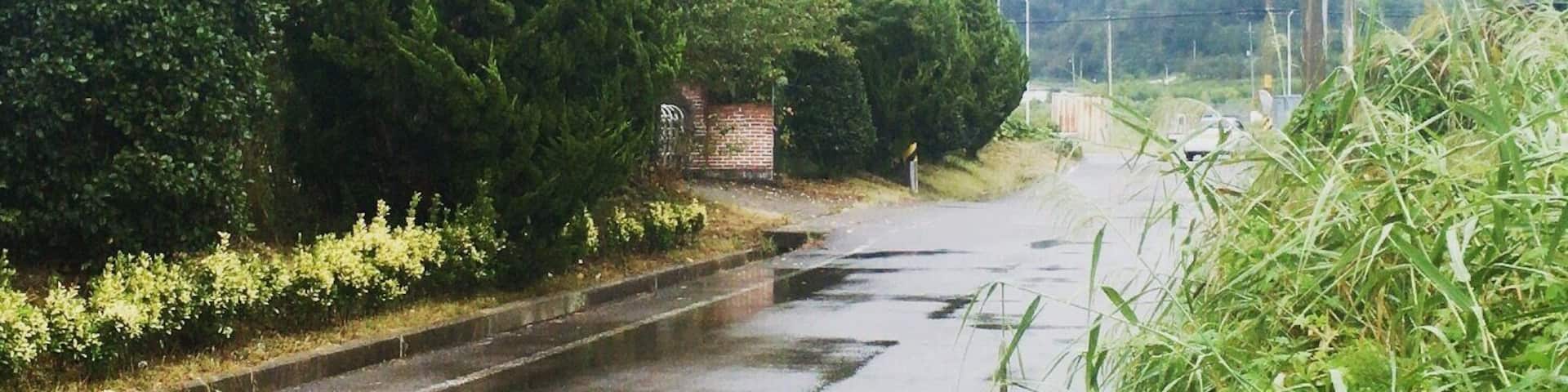 When it rains in the summer and the air is hot, mist covers the mountain in Nokdong, South Korea.