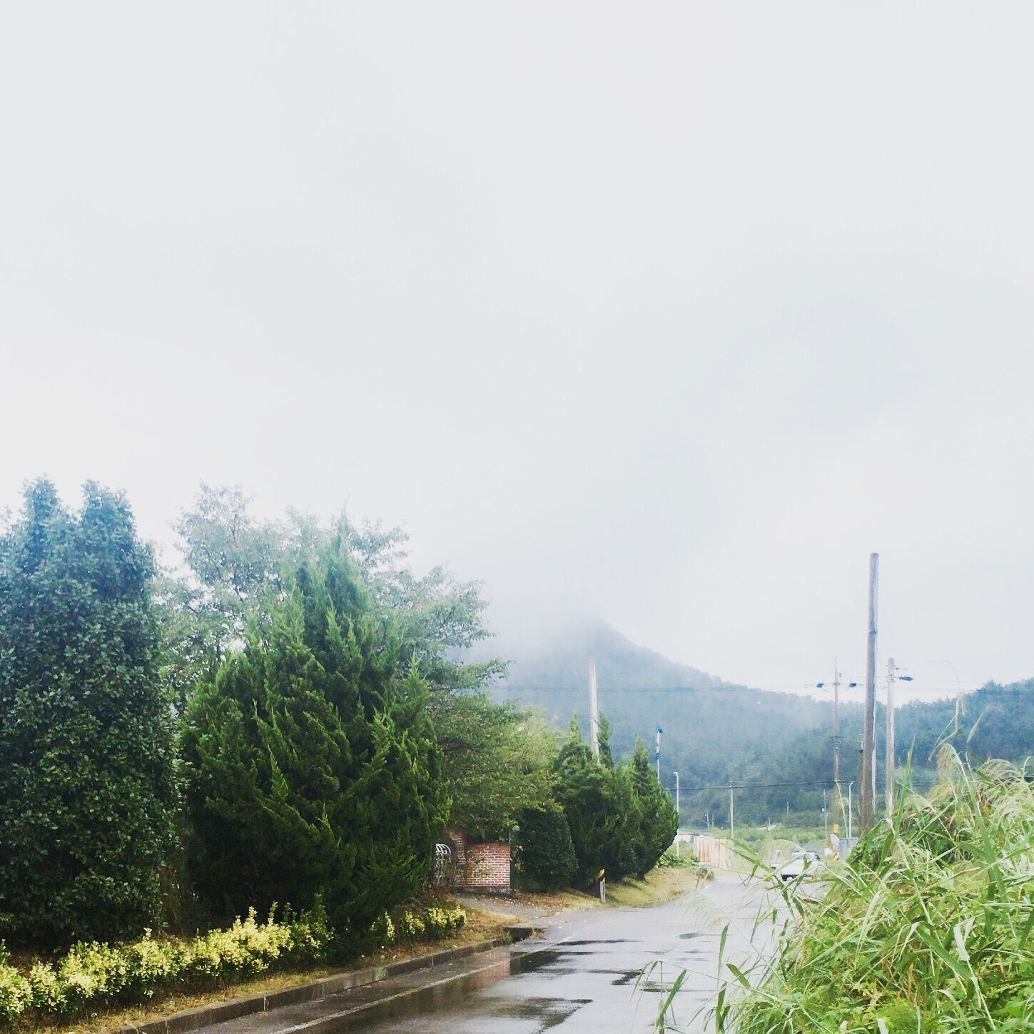 A rural road with a small bridge, dense greenery, and a mountain in the background.