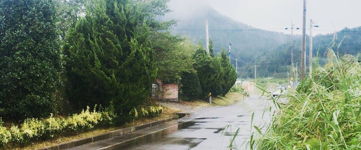 A rural road with a small bridge, dense greenery, and a mountain in the background.