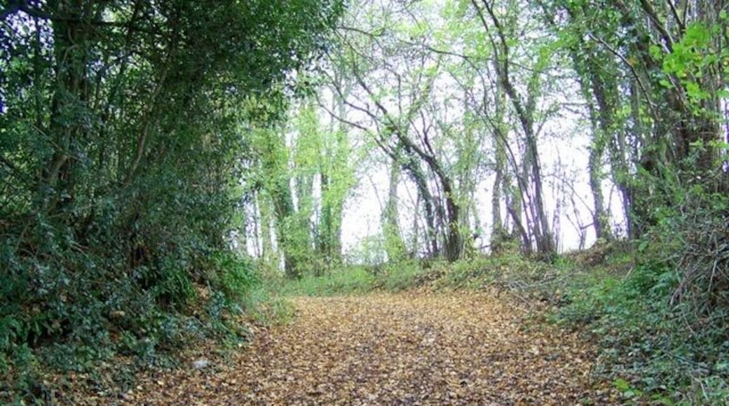 Bridleway near Longburton The bridleway allows riders and walkers to reach Manor Farm and the A352.