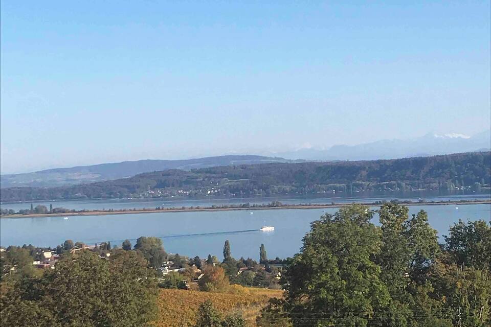 A vineyard with autumn foliage, a lake, and distant mountains.