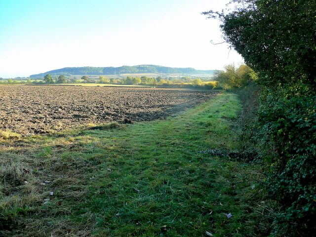 View to the hill from Alstone Looking north-east along the line of a footpath on this wide field edge. The hill is Dumbleton/Alderton/Perretts/Washbourne depending on which top or side you choose.