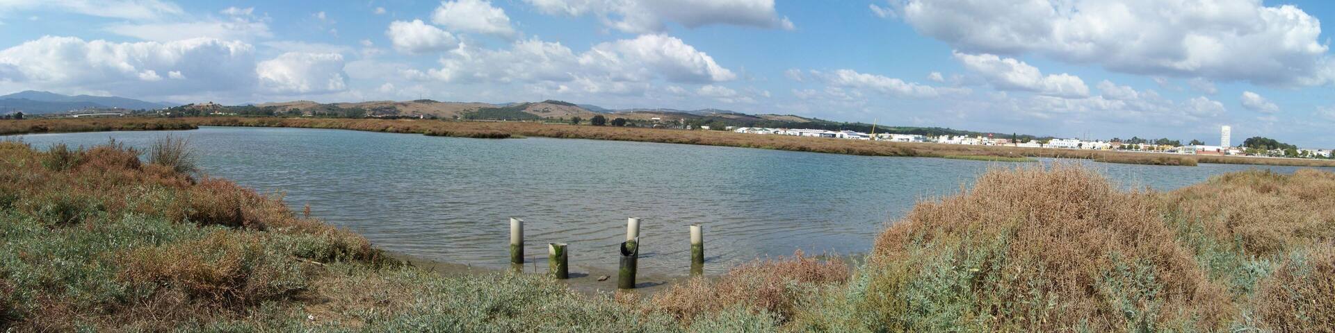 This is a photography of a Site of Community Importance in Spain with the ID: