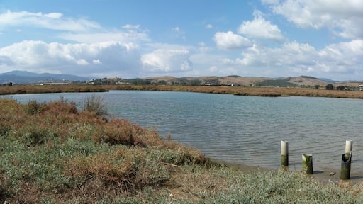 This is a photography of a Site of Community Importance in Spain with the ID: