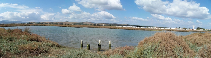 A lake with surrounding vegetation and distant hills.