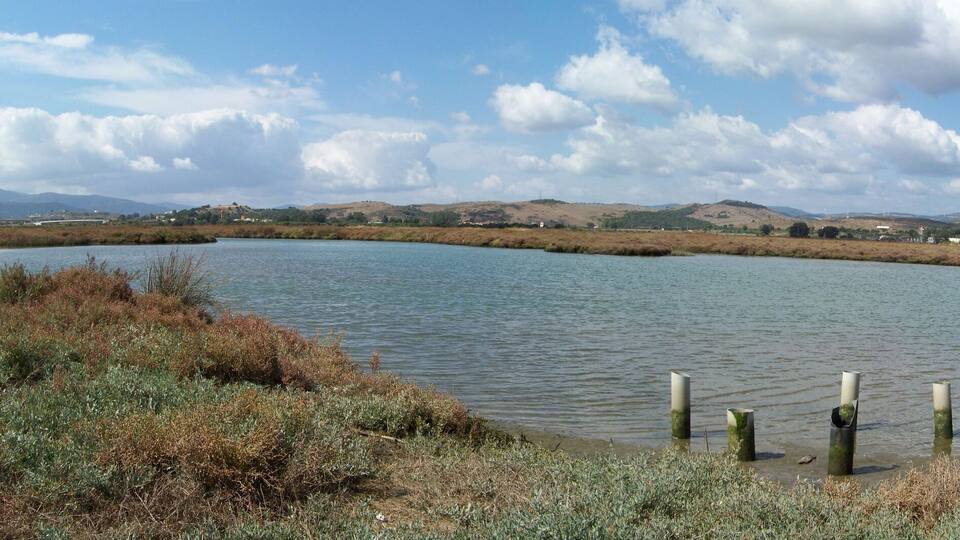 A lake with surrounding vegetation and distant hills.