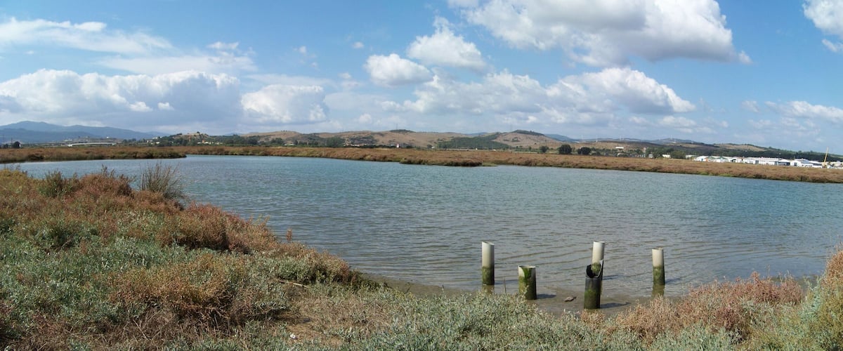 A lake with surrounding vegetation and distant hills.