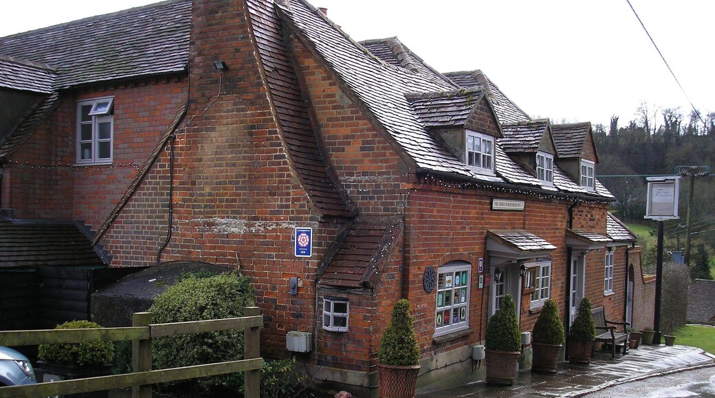 Lost amidst the glorys of the Chiltern Hills in Buckinghamshire, this lovely pub / restaurant "The Thre Horseshoes." A glorious place to lunch or better still stay for a while - if you can find it that is? March 16 2013. Camera: Olympus FE-120 6.0 Digital.