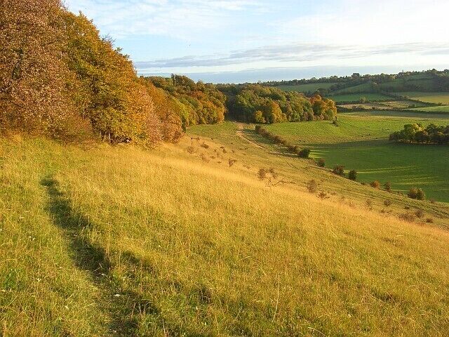 A grassy hillside with a path leading up, surrounded by trees and fields.