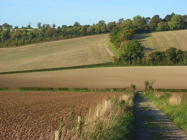 Farmland, Radnage The bridleway descending from Pophley's Wood to Grange Farm Road.