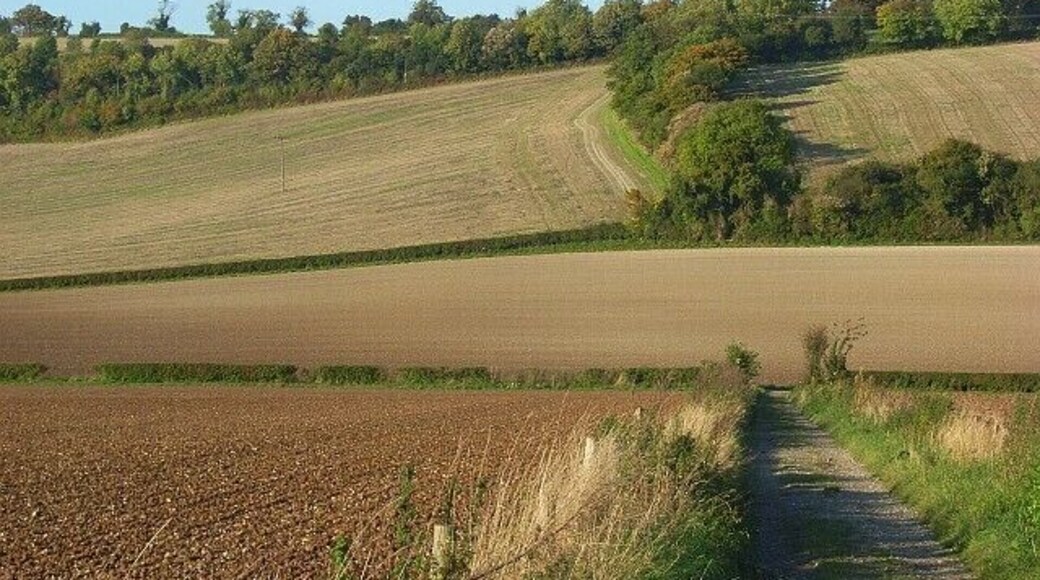 Farmland, Radnage The bridleway descending from Pophley's Wood to Grange Farm Road.