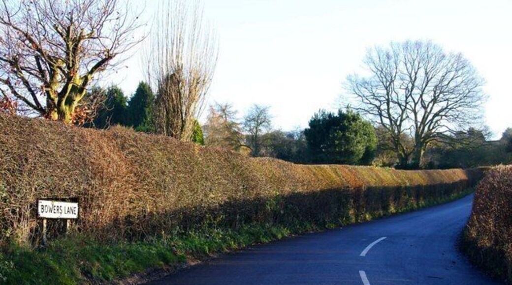 Bowers Lane near Radnage
