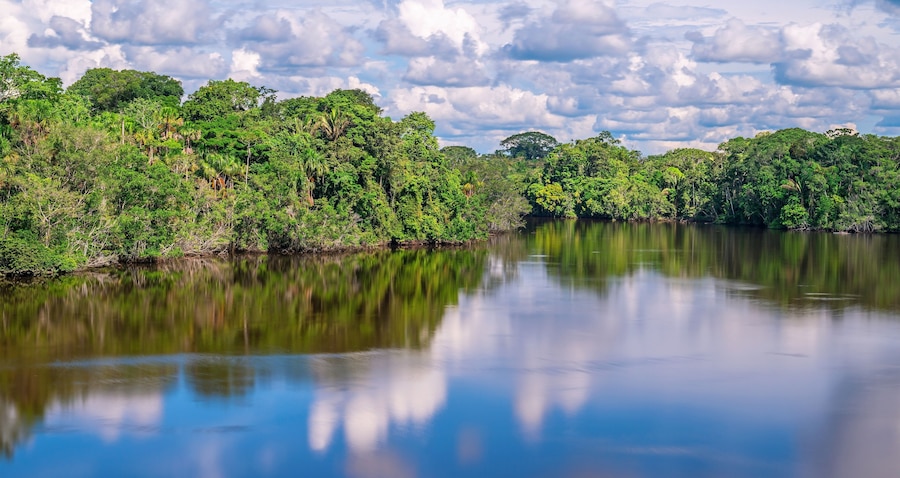 Aerial long exposure panorama of the Amazon Rainforest, Yasuni national park, Ecuador.