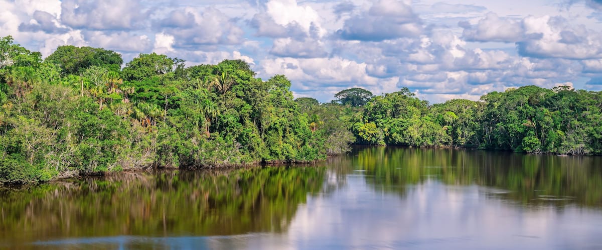 A calm river reflecting the surrounding dense forest and cloudy sky.