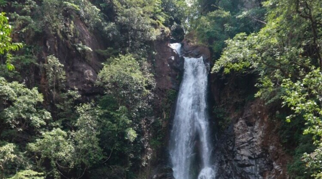 A hidden gem of Goa ❤️
#travel #adventure #waterfalls #naturalpools #forests #wildlife #goa #mainapiwaterfalls #india