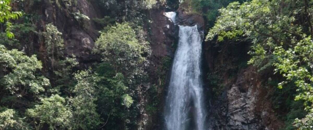 A hidden gem of Goa โค๏ธ
#travel #adventure #waterfalls #naturalpools #forests #wildlife #goa #mainapiwaterfalls #india