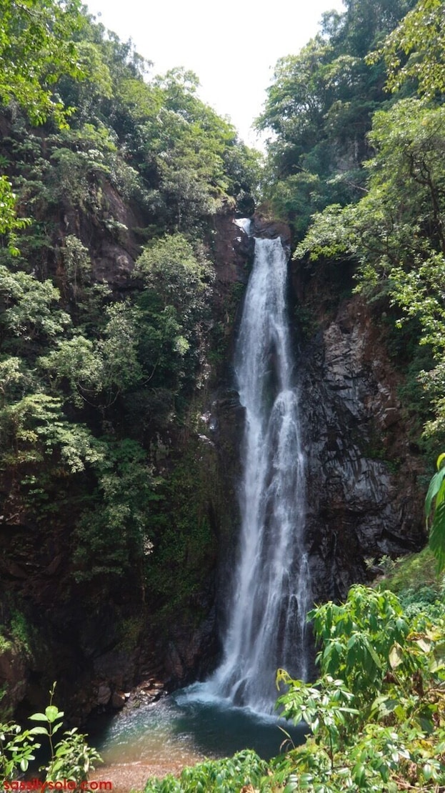 A waterfall cascading down a rocky cliff surrounded by dense green foliage.