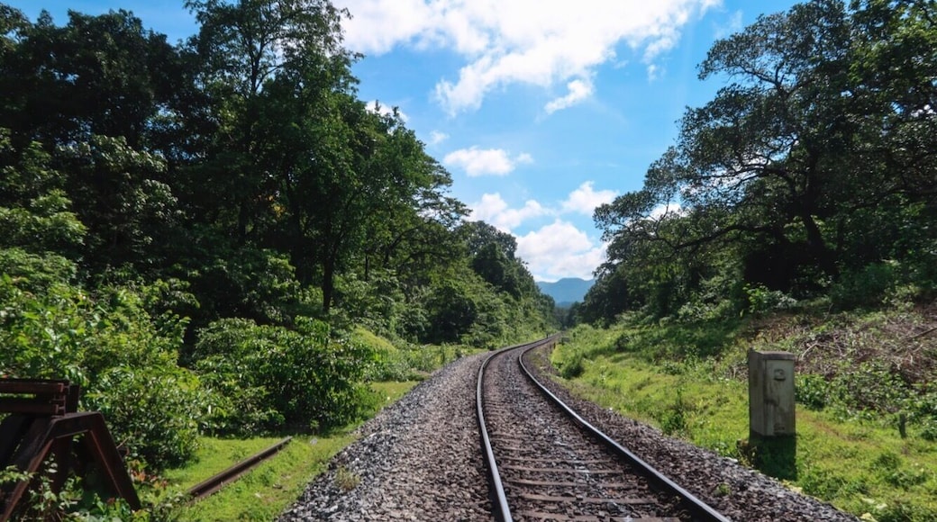 Solo travel tales @ https://wp.me/p8Rf0W-dv
#travel #hikingtales #solotravel #dudhsagarwaterfalls #goa #india #GreatOutdoors