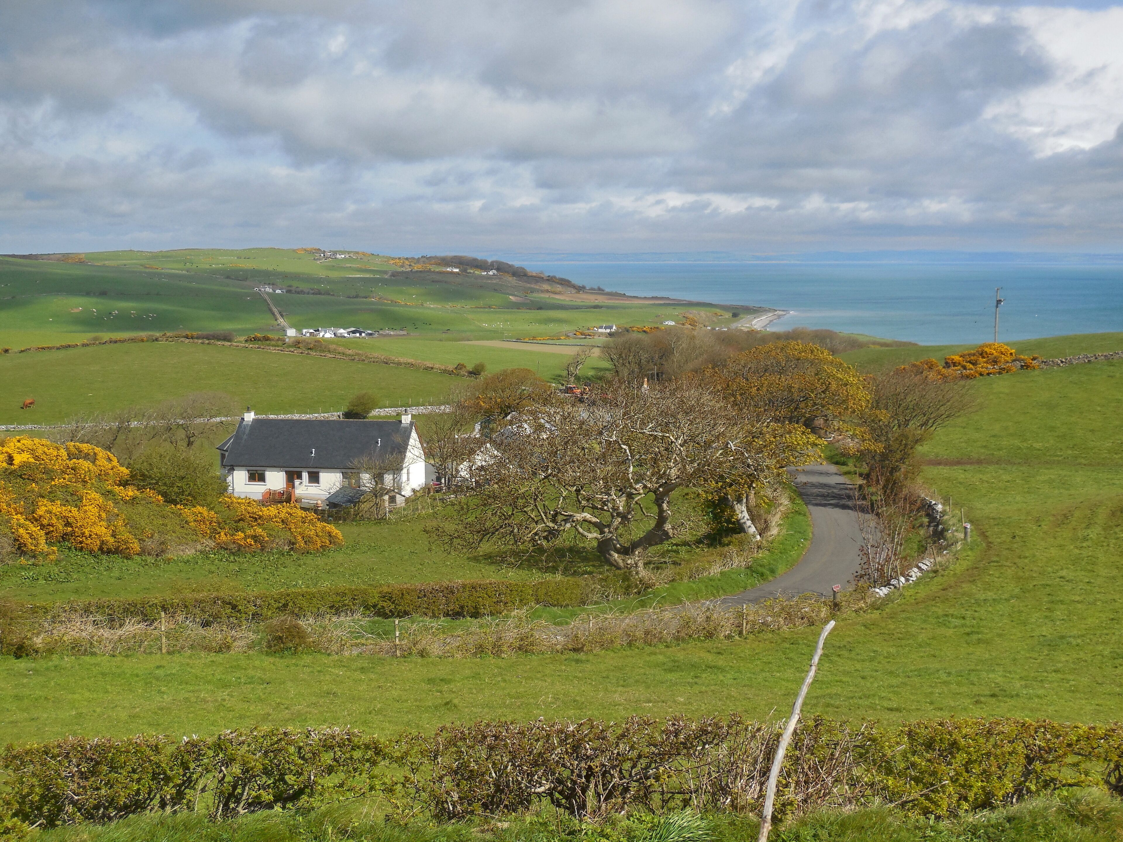 A coastal landscape with rolling hills, a white house, and a winding road.