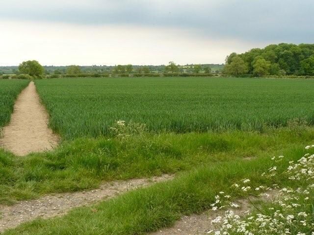 Path to Bunny old Wood on The Midshires Way
