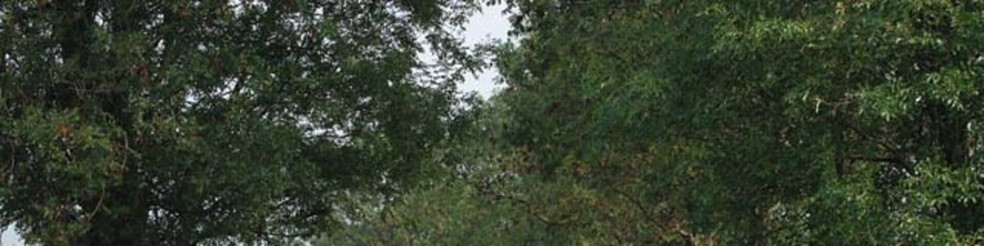 Farm track from Keyworth Lane This track starts off fairly well surfaced, (see 252916), but reverts to this grassy lane before it crosses the square boundary at the bottom of the hill.