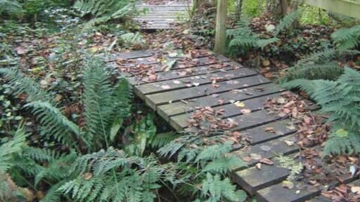 Footbridges over stream Footbridges making a better crossing over a Ford in a woodland