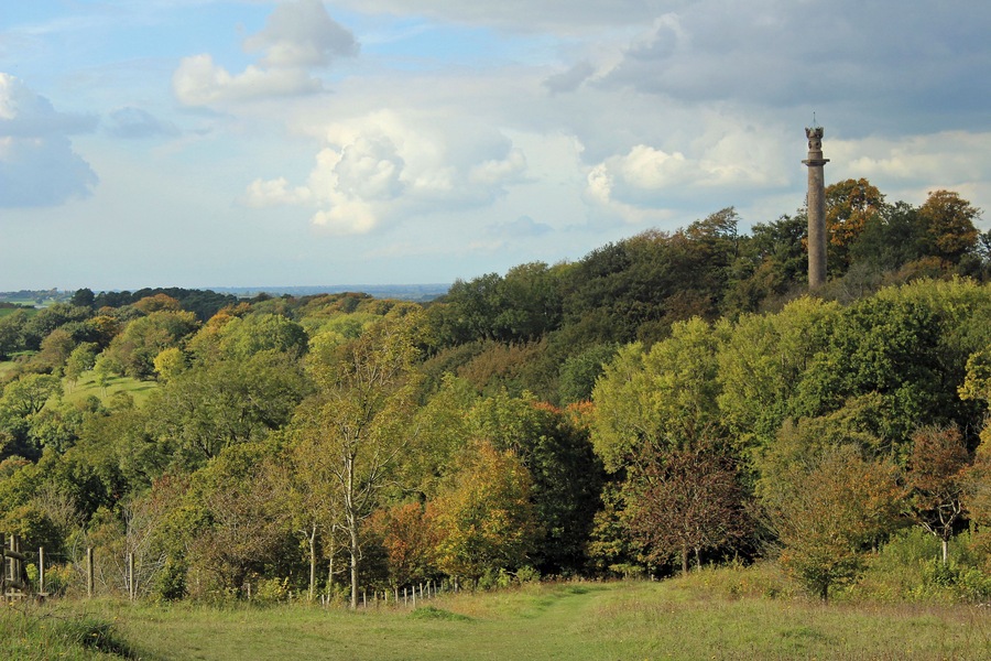 The Hood Monument in Autumn