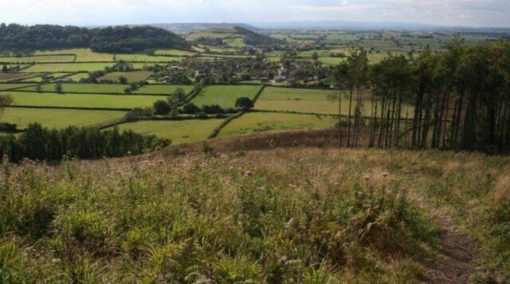 Down to the Levels The wonderful view from Combe Hill down onto the Somerset levels, where we'd taken photographs a few weeks previously ST4633.