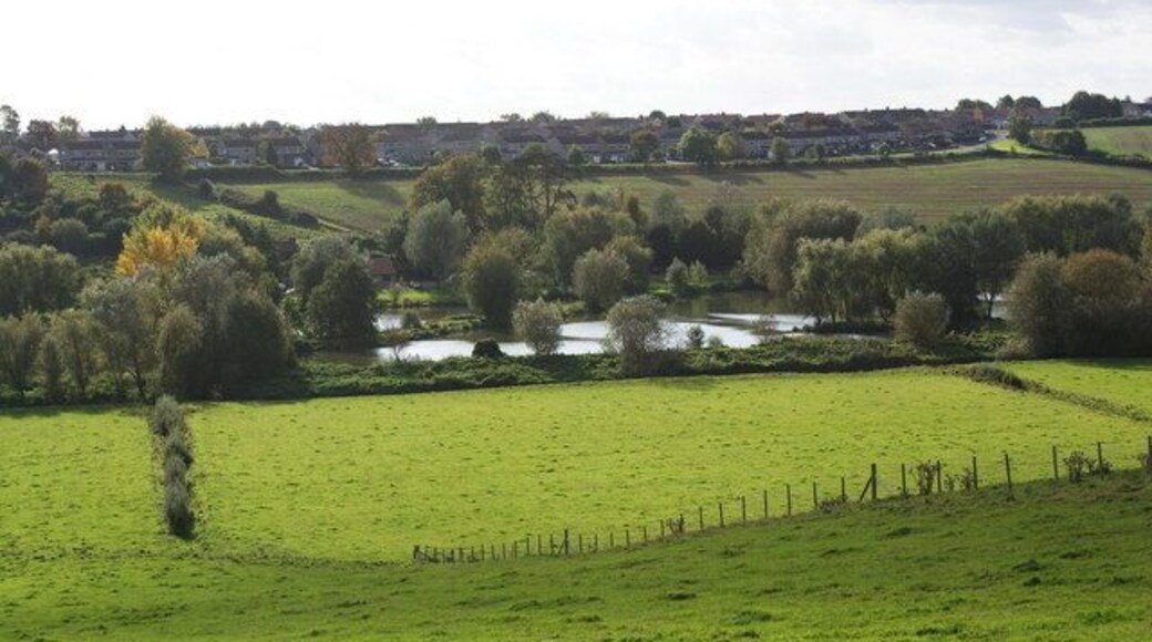 Somerton Fishing Ponds The fishing ponds viewed from Littleton Hill.
