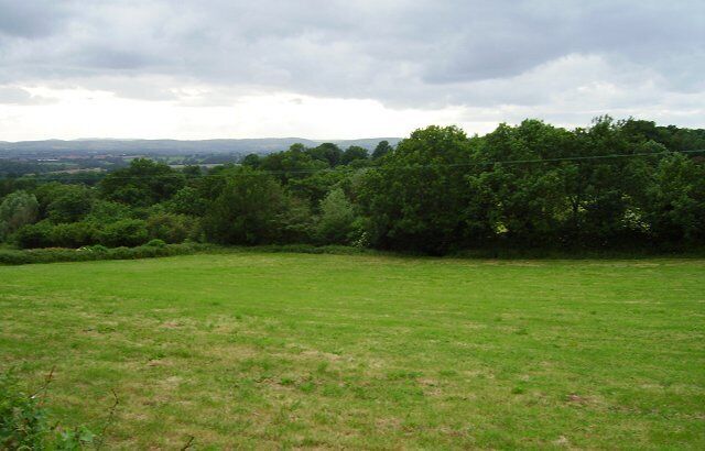 Field off Caynham Road. Under grass, a silage crop being taken a couple of weeks before my visit. Many fields on the slopes of Clee Hill are under grass with mature trees in the hedgerows. Picture shows a very typical landscape in this area.
