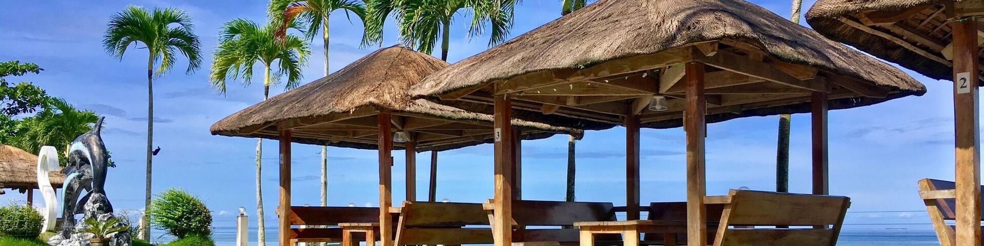 smell the fresh đđđ #fresh #green #tree #grass #blue #sky #brown #cottage #shadow