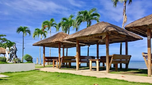 smell the fresh 😘😘😘 #fresh #green #tree #grass #blue #sky #brown #cottage #shadow