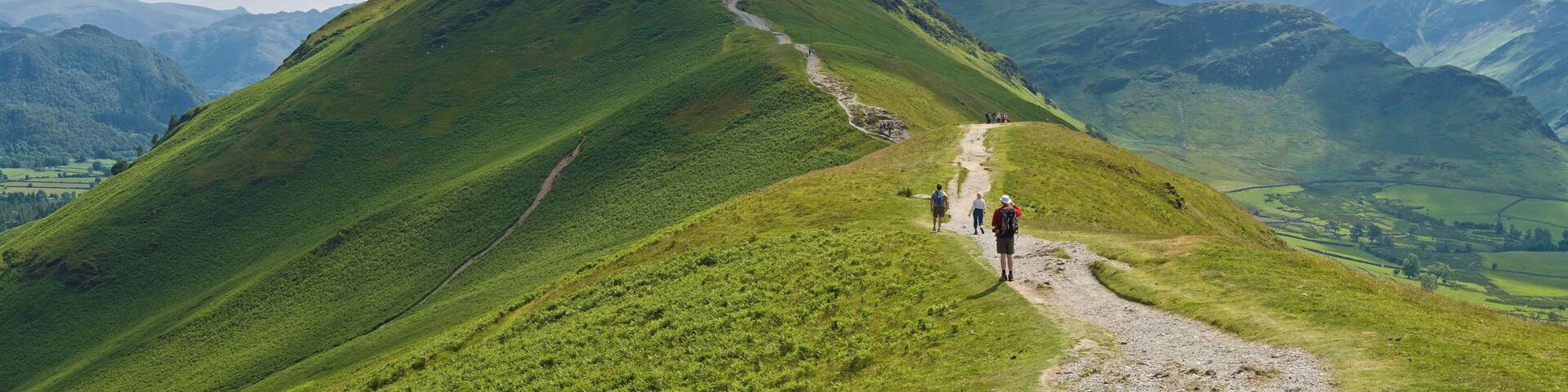 A view of the northern ascent of Catbells (facing south) in the Lake District near Keswick, Cumbria.