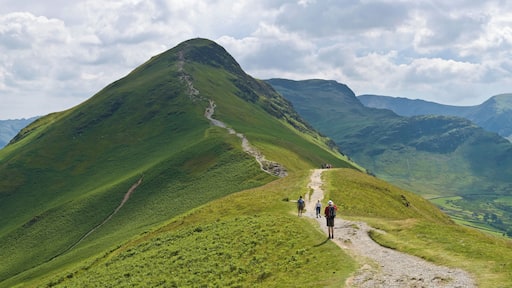 A view of the northern ascent of Catbells (facing south) in the Lake District near Keswick, Cumbria.