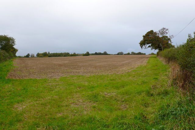 Countryside near Stalbridge View NE along the line of Park Wall lane from just north of Church Close