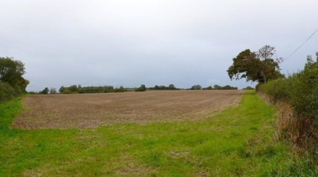 Countryside near Stalbridge View NE along the line of Park Wall lane from just north of Church Close
