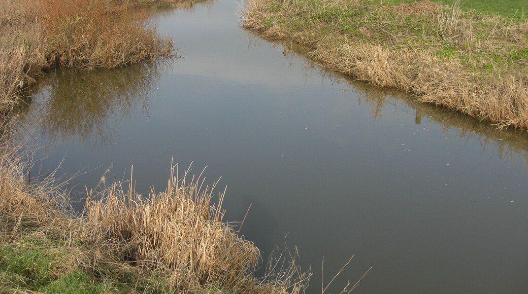 The river Lydden downstream from Bagber