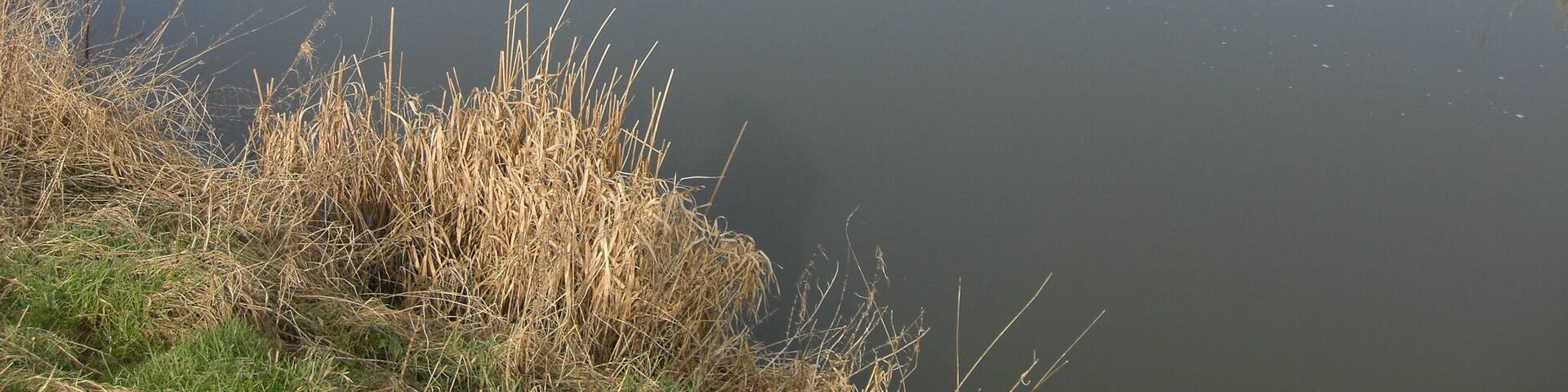 The river Lydden downstream from Bagber