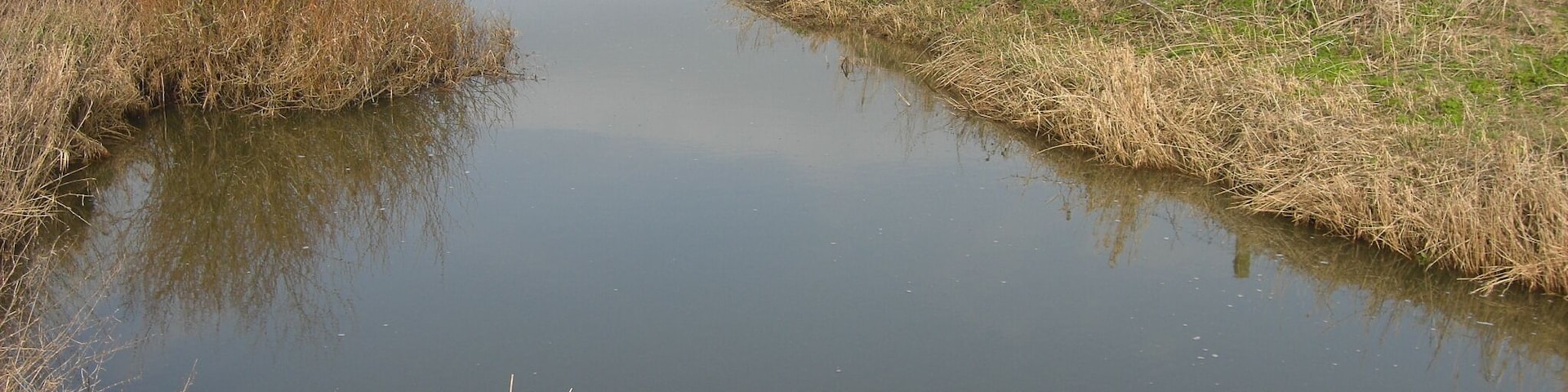 The river Lydden downstream from Bagber