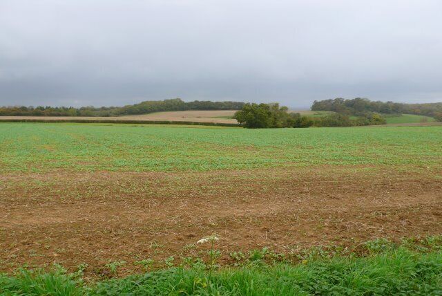 Stalbridge Park The park was originally several square kilometres in area and bounded by a long dry stone wall , most of which is still in existence to the immediate NW of Stalbridge. This is the view over the park wall from close to the western extremity of the park.