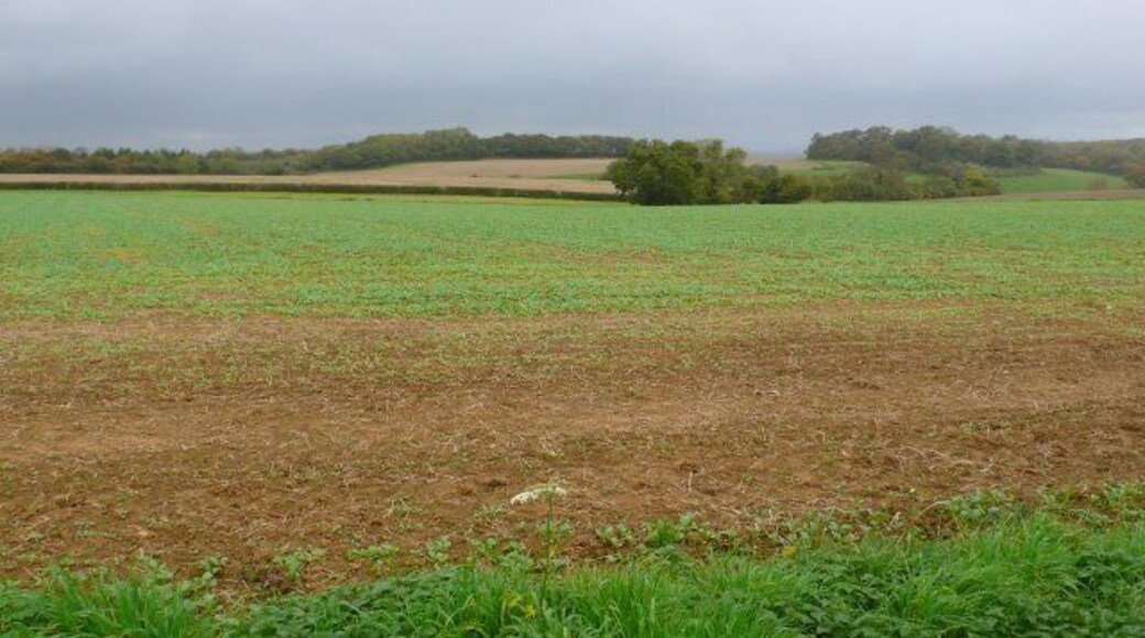 Stalbridge Park The park was originally several square kilometres in area and bounded by a long dry stone wall , most of which is still in existence to the immediate NW of Stalbridge. This is the view over the park wall from close to the western extremity of the park.