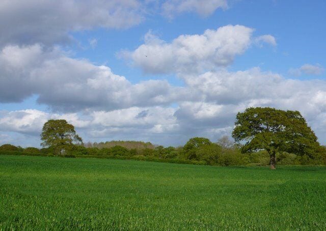 Countryside near Warr Bridge View east across the square towards Thornhill Copse from close to Waterloo lane