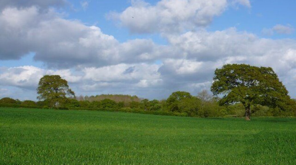 Countryside near Warr Bridge View east across the square towards Thornhill Copse from close to Waterloo lane