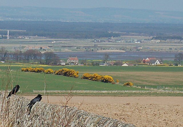 Twa Corbies, Strathkinness Two crows on a dyke surveying all they see. The Twa Corbies As I was walking all alane, I heard twa corbies makin a mane; The tane unto the ither say, "Whar sall we gang and dine the-day?" R Burns. View out towards RAF Leuchars, Kinsaldy and the Angus coastline.