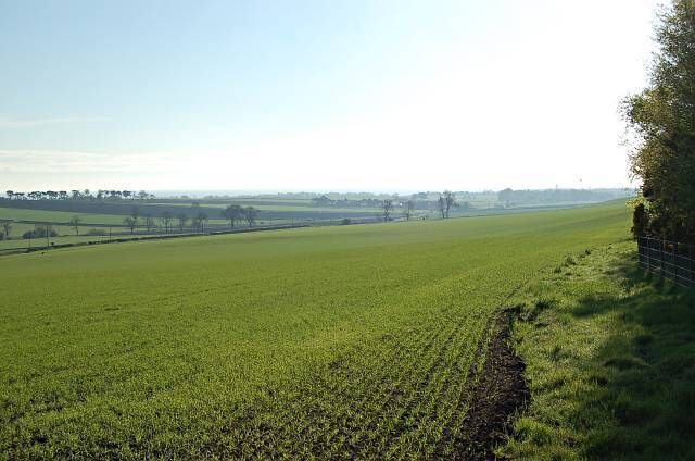 A vast green field with a fence on the right and a tree line in the distance.