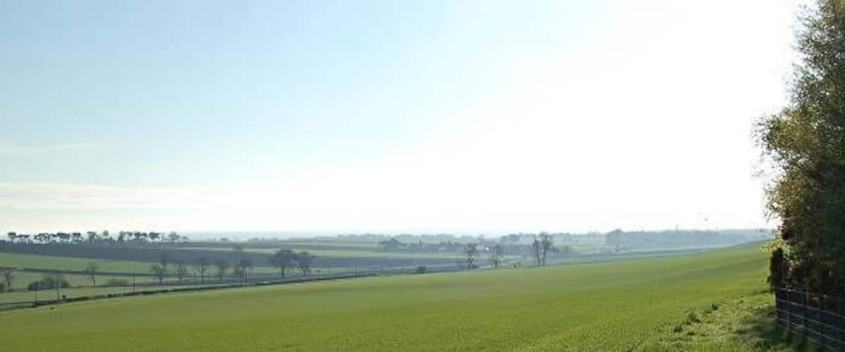 A vast green field with a fence on the right and a tree line in the distance.