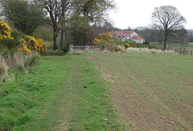 Bonfield, Strathkinness From the Blebo path
