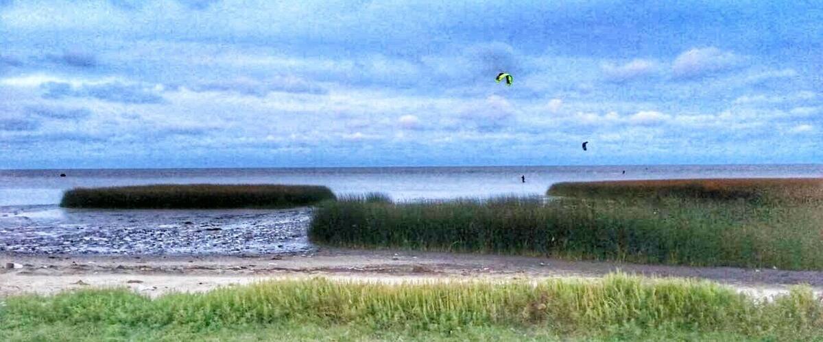 A coastal landscape with a beach, grassy dunes, and a cloudy sky.